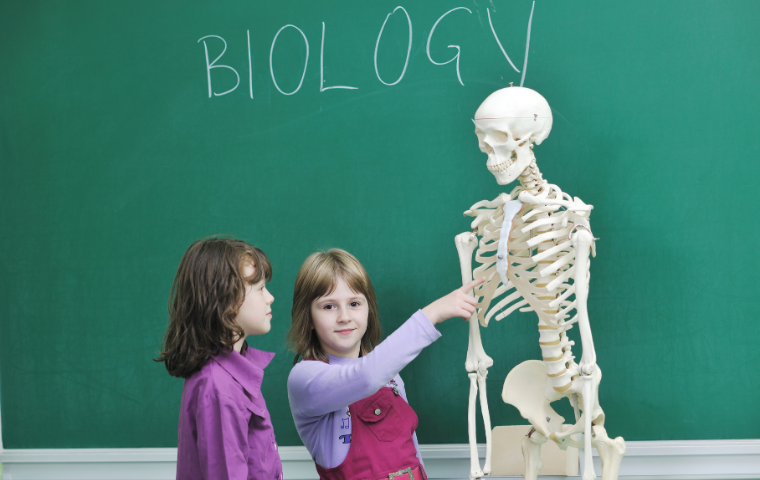 Class 10 – BIOLOGY